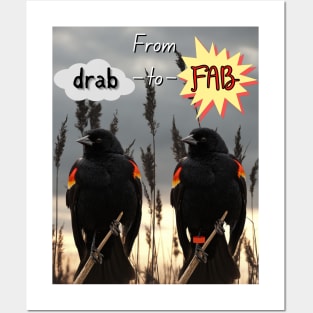 Red-Winged Blackbird From Drab to Fab Posters and Art